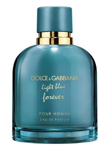 dolce gabbana cologne light blue forever|Dolce & Gabbana light blue men's.